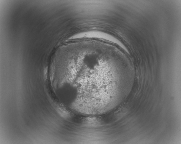 X0000068890406200605192140