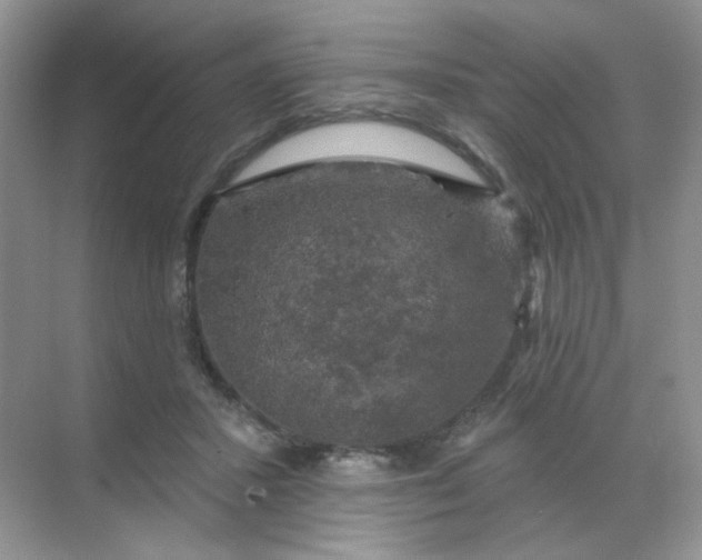 X0000068890407200605192140