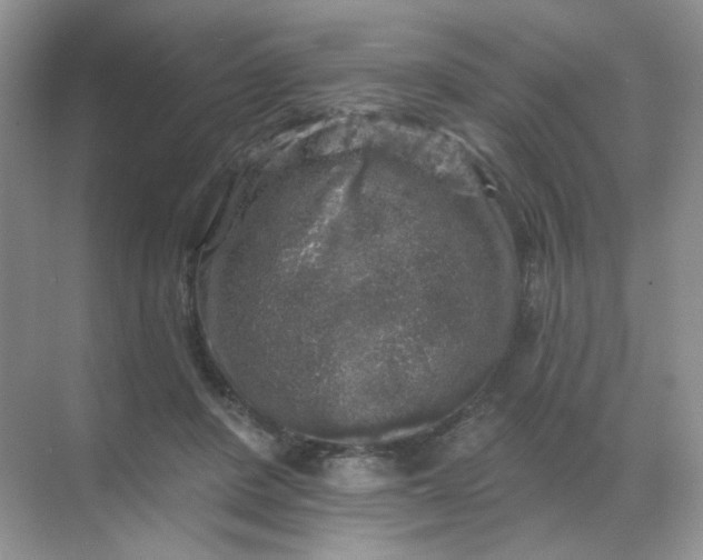 X0000068890408200605192140