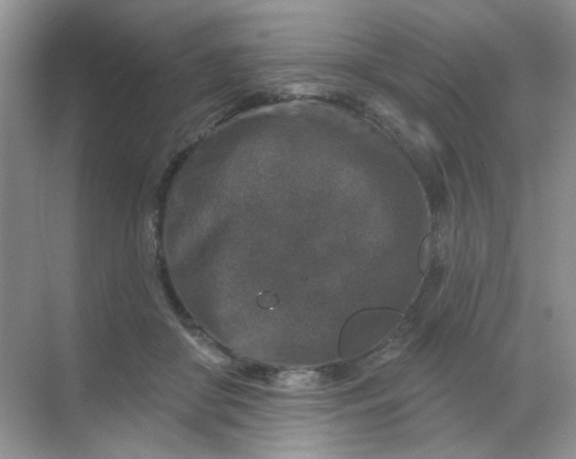 X0000068890410200605192140