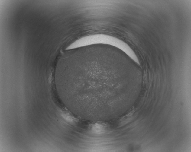 X0000068890412200605192140