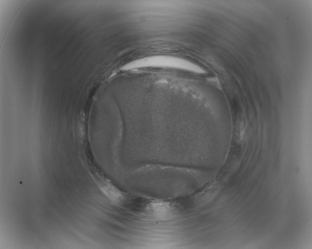 X0000068890413200605192140