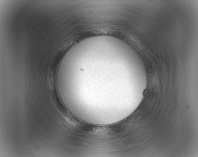 X0000068890414200605192140