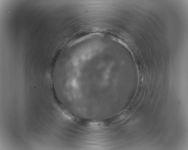 X0000068890415200605192140