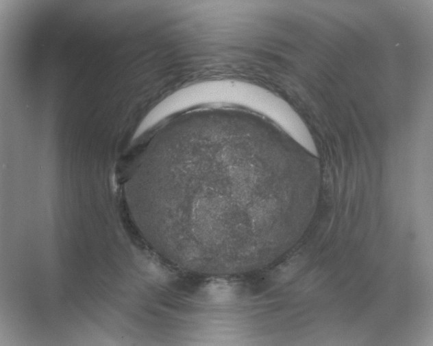 X0000068890416200605192140