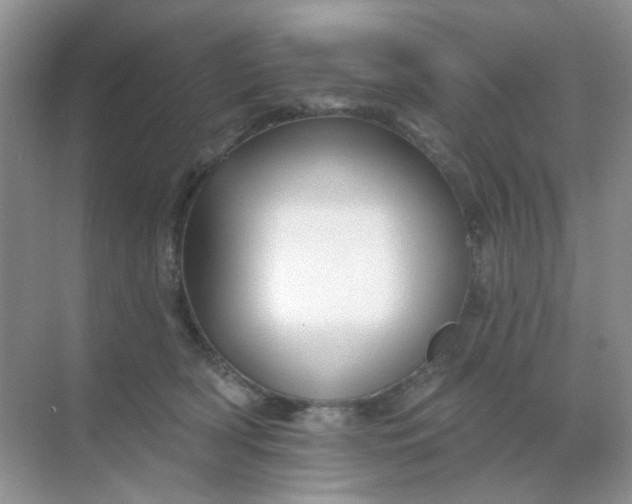 X0000068890418200605192140