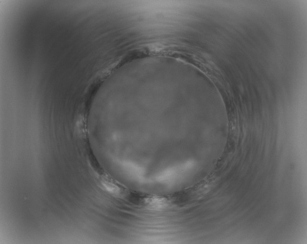 X0000068890419200605192140