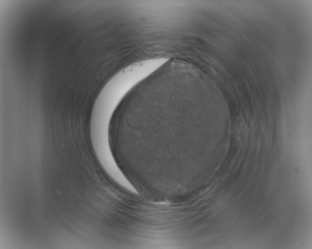 X0000068890420200605192140