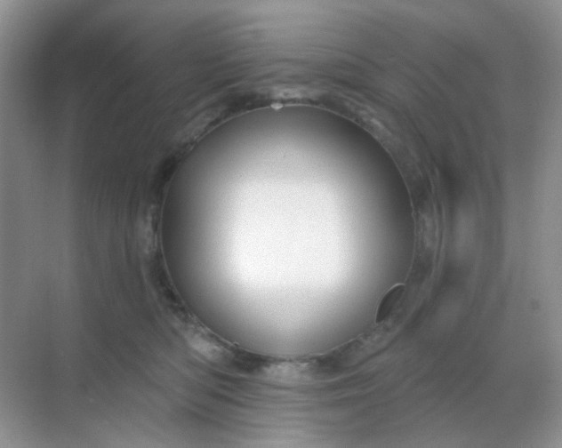 X0000068890422200605192140