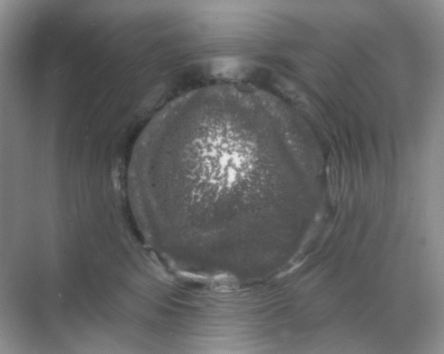 X0000068890424200605192140