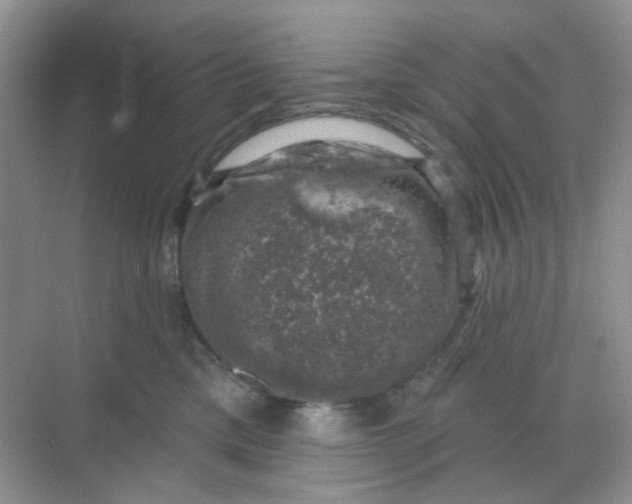 X0000068890425200605192140