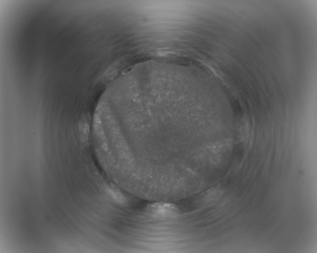 X0000068890427200605192140