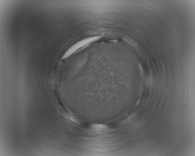 X0000068890429200605192140