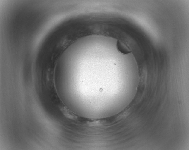 X0000068890430200605192140