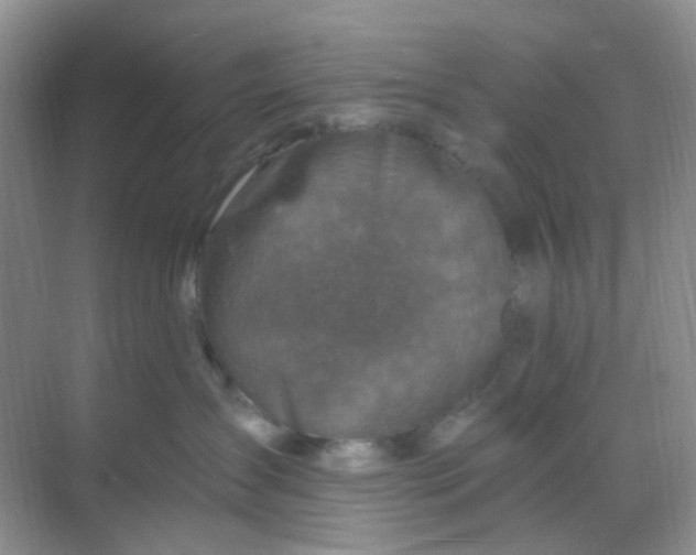 X0000068890431200605192140