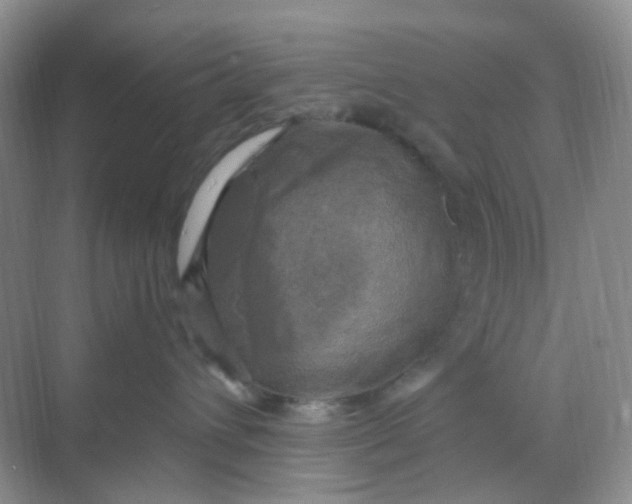 X0000068890432200605192140