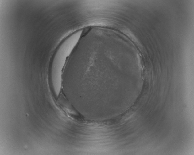 X0000068890434200605192139