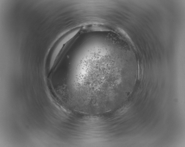 X0000068890435200605192139