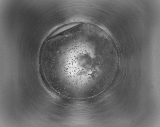 X0000068890438200605192139