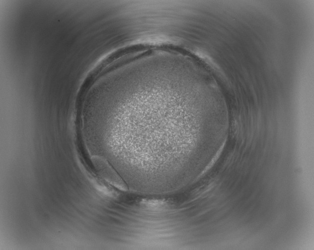 X0000068890440200605192139