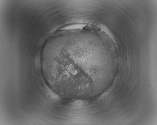 X0000068890441200605192139