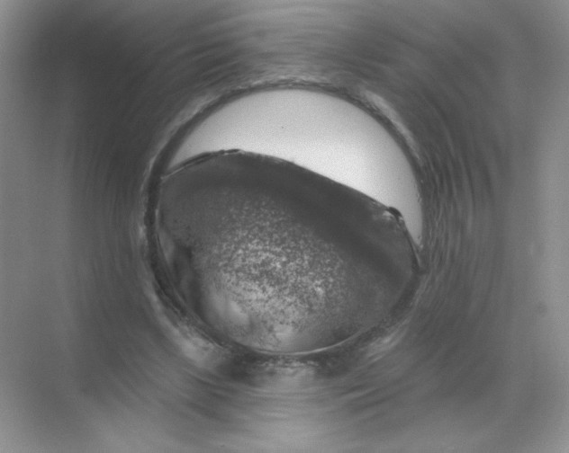 X0000068890443200605192139