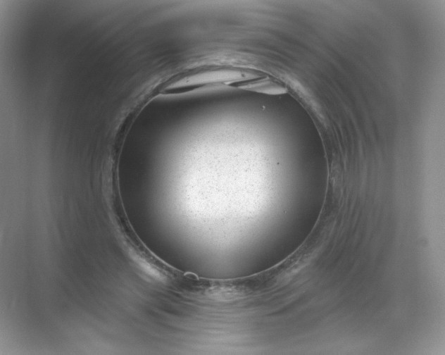 X0000068890445200605192139