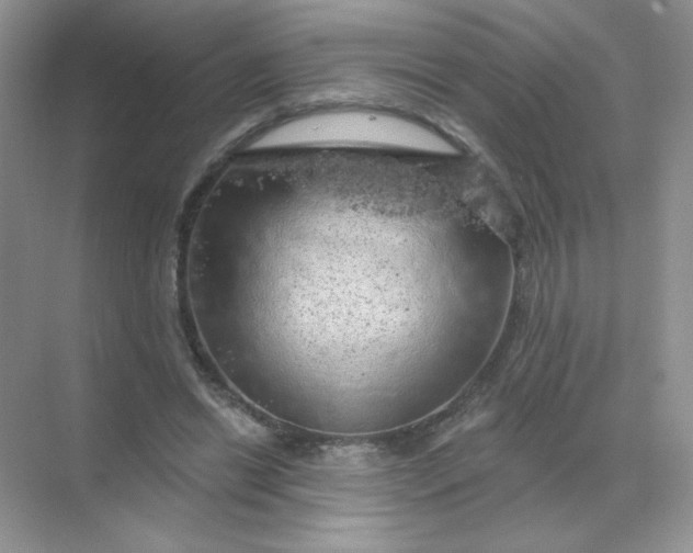 X0000068890446200605192139