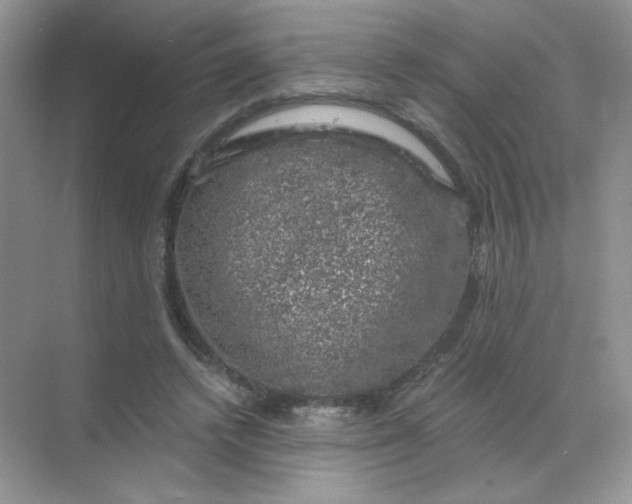 X0000068890448200605192139