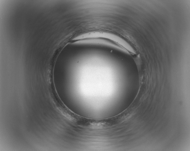 X0000068890450200605192139