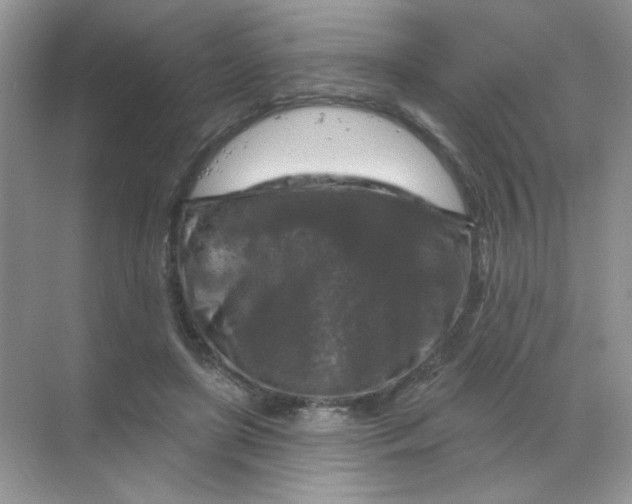 X0000068890451200605192139