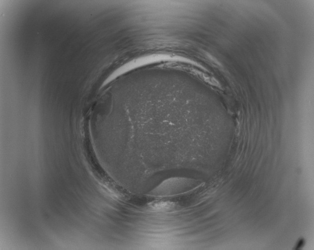 X0000068890452200605192139