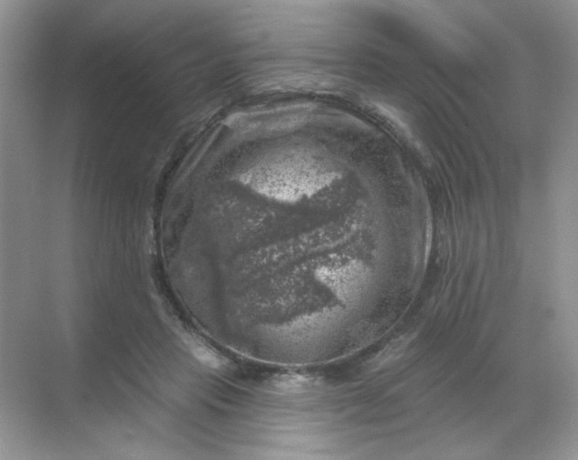 X0000068890453200605192139