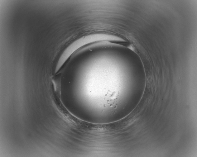 X0000068890454200605192139