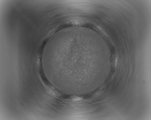 X0000068890456200605192139