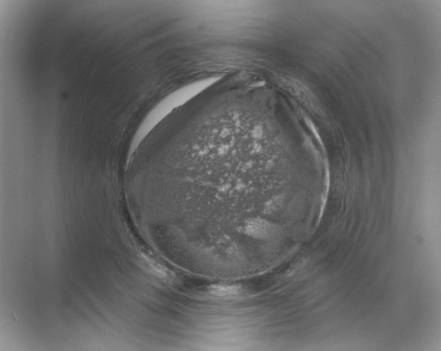 X0000068890457200605192139