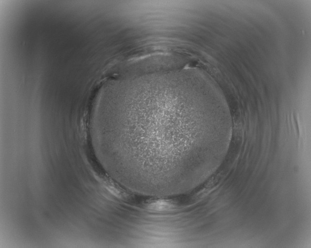 X0000068890460200605192139