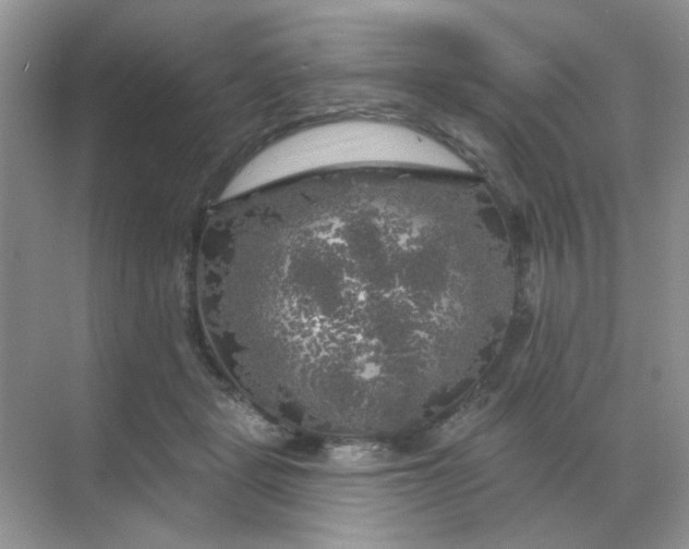 X0000068890461200605192139