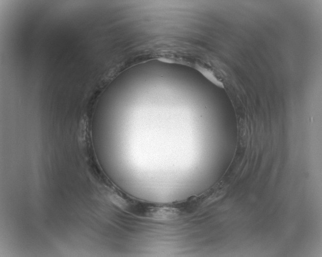 X0000068890463200605192139