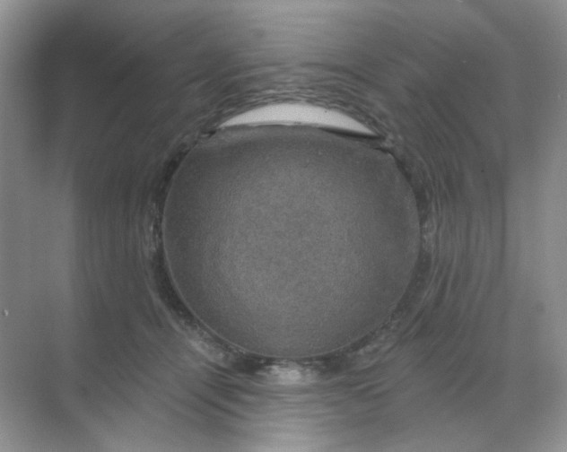 X0000068890464200605192139