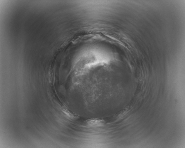 X0000068890465200605192139