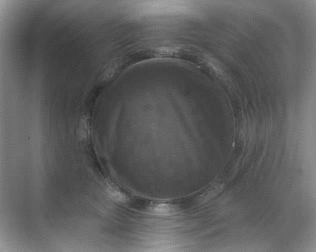 X0000068890467200605192139