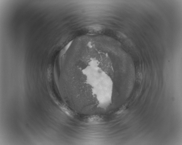 X0000068890468200605192139