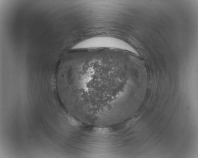 X0000068890469200605192139