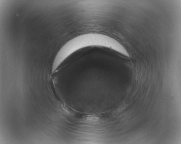 X0000068890471200605192139