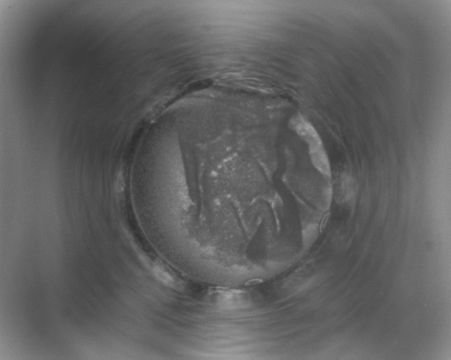 X0000068890472200605192139