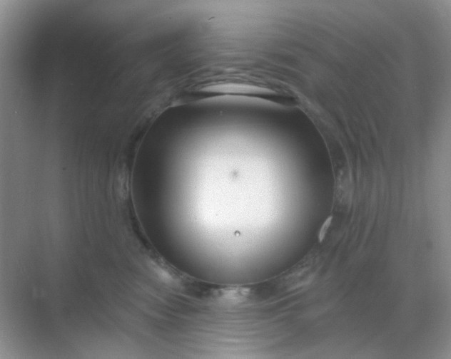 X0000068890474200605192140