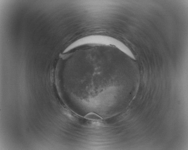 X0000068890475200605192140