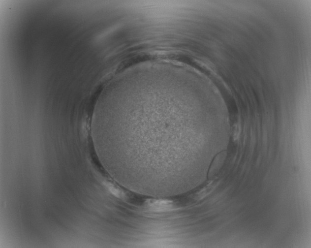 X0000068890476200605192140