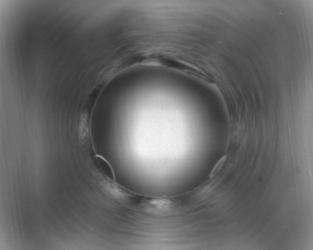 X0000068890478200605192140